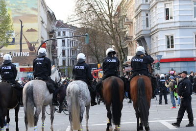 Police officers in row on horses