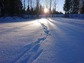 View of snow covered landscape