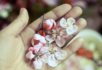 Close up female palm with gentle flowers concept photo