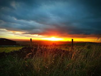 Scenic view of sunset over sea