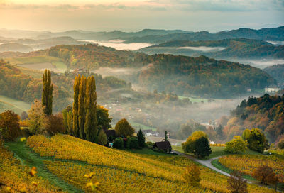 South styria vineyards landscape, tuscany of austria. sunrise in autumn. colorful trees and vieyard 
