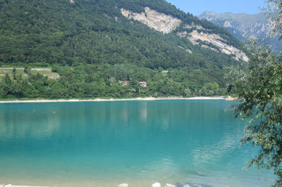 Scenic view of lake by trees in forest