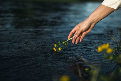 Midsection of person holding stick on plant