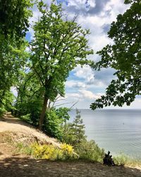 Trees by sea against sky