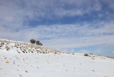 Snow falling on  in ma'an governorate in jordan