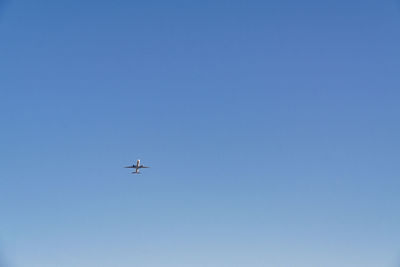flying