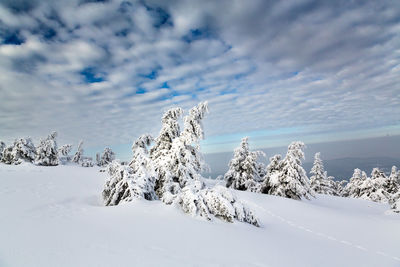 Snow covered land against sky