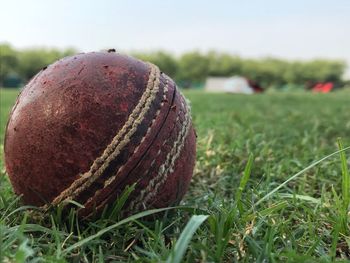 Close-up of ball on field