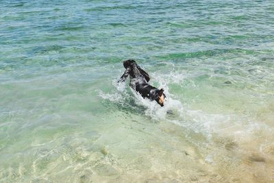 Woman swimming in sea