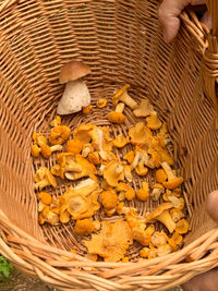 High angle view of mushrooms in basket
