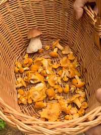 High angle view of mushrooms in basket