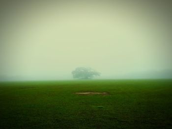 Scenic view of field against sky during foggy weather