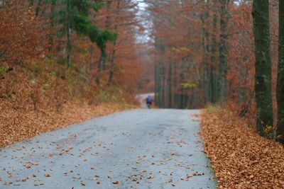 Road amidst trees in forest during autumn