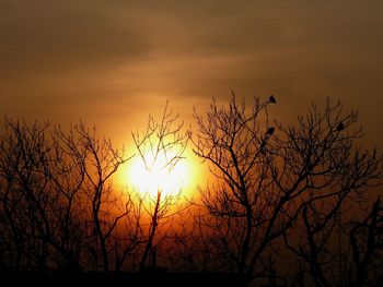 Silhouette bare tree against romantic sky at sunset