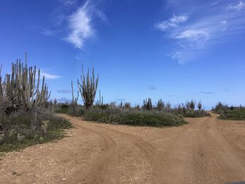 Dirt road amidst field against blue sky