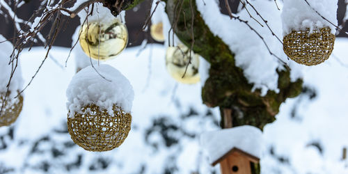 Close-up of ice hanging on snow