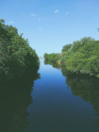 Reflection of trees in lake against sky