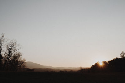 Silhouette trees on field against clear sky