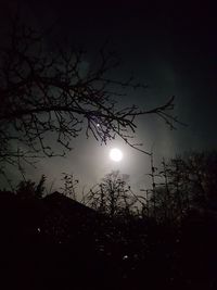 Low angle view of silhouette bare tree against sky