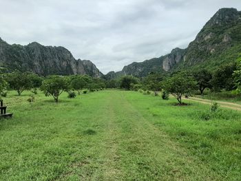 Scenic view of field against sky