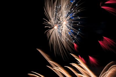 Low angle view of firework display at night