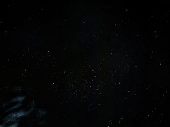 Low angle view of star field against sky at night