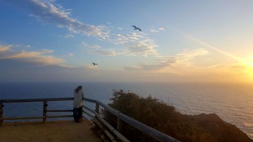 Silhouette of birds flying over sea against sky during sunset