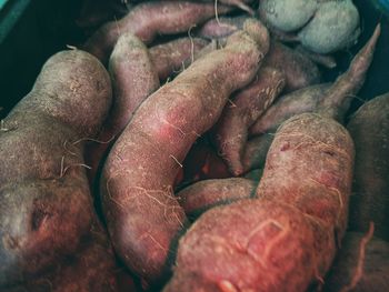 High angle view of onions for sale