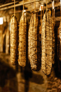 Close-up of salami maturing in the cellar