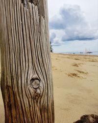 Close-up of wooden posts on beach against sky