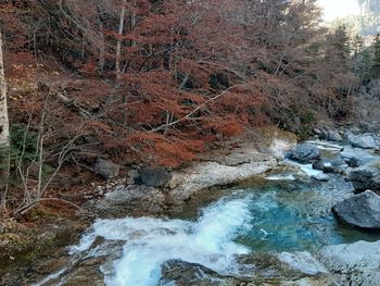 Stream flowing through rocks in forest