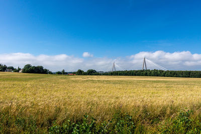 Scenic view of agricultural field against blue sky