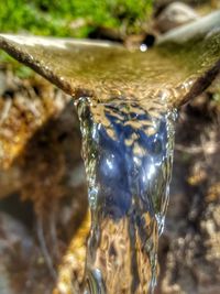 Close-up of water drop on rock