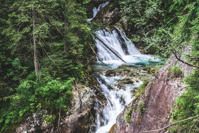 Scenic view of waterfall in forest
