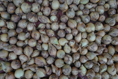 Full frame shot of onions for sale at market