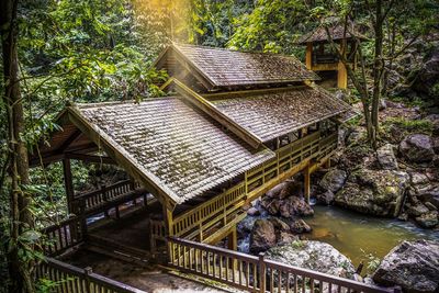 High angle view of walkway amidst trees in forest