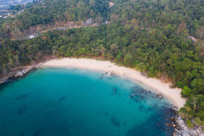 High angle view of sea and trees