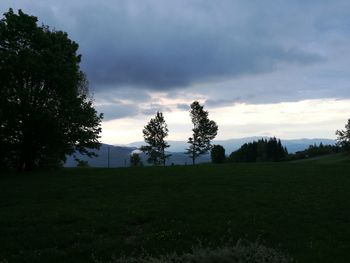 Trees on field against sky