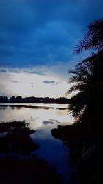 Reflection of trees in calm lake