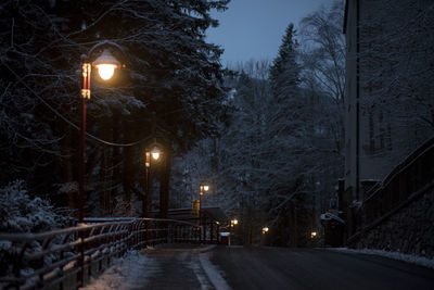 Illuminated street lights in winter at night