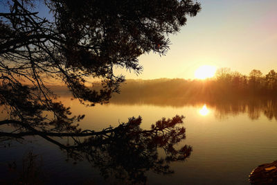 Silhouette tree by lake against sky during sunset