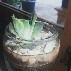 Close-up of ice cream in glass on table