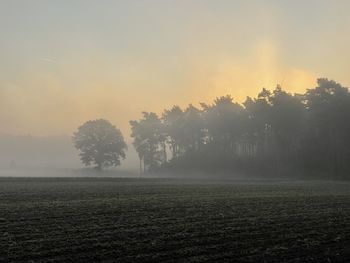 Scenic view of field against sky during foggy weather