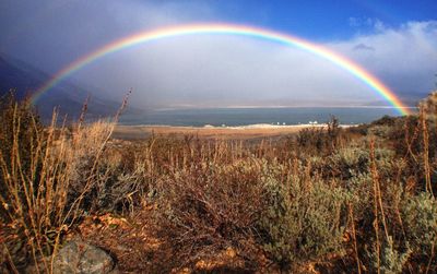 Scenic view of rainbow over landscape