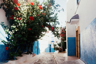 Narrow alley amidst buildings