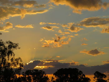 Low angle view of silhouette trees against sky during sunset