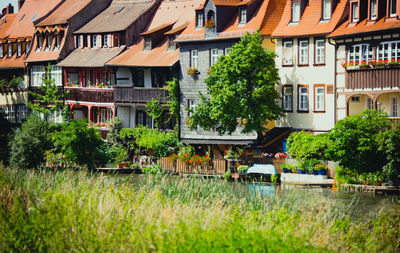 Houses by trees and buildings in city