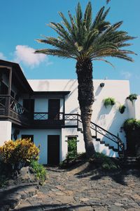 Low angle view of palm tree by building against sky