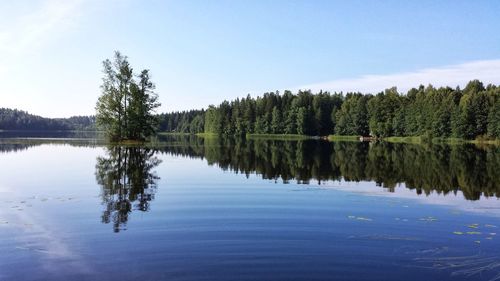 Reflection of trees in calm lake