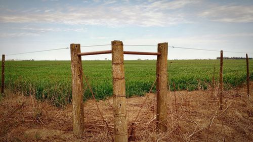 Agricultural field against sky